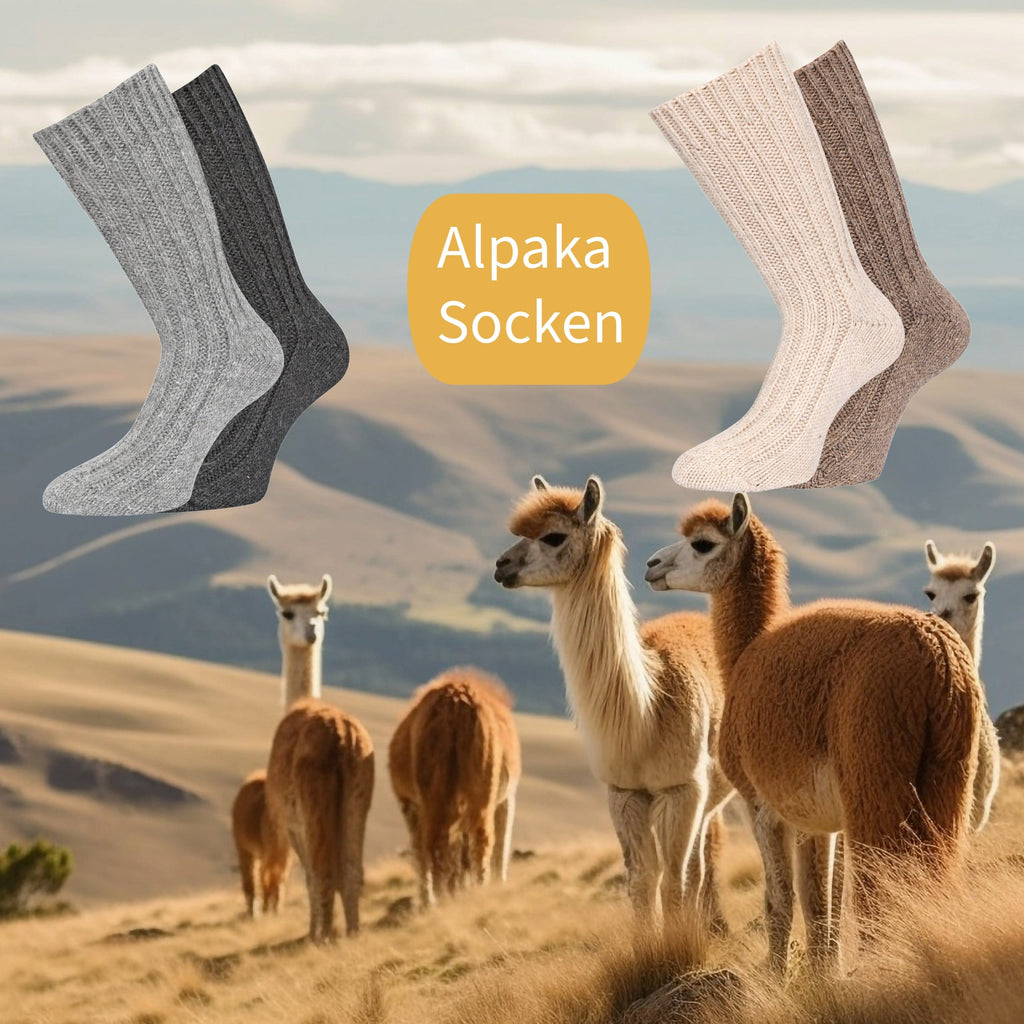 KB Socken Geschenkbox direkt zum Verschenken - Alpaka Socken und Alpaka Seife