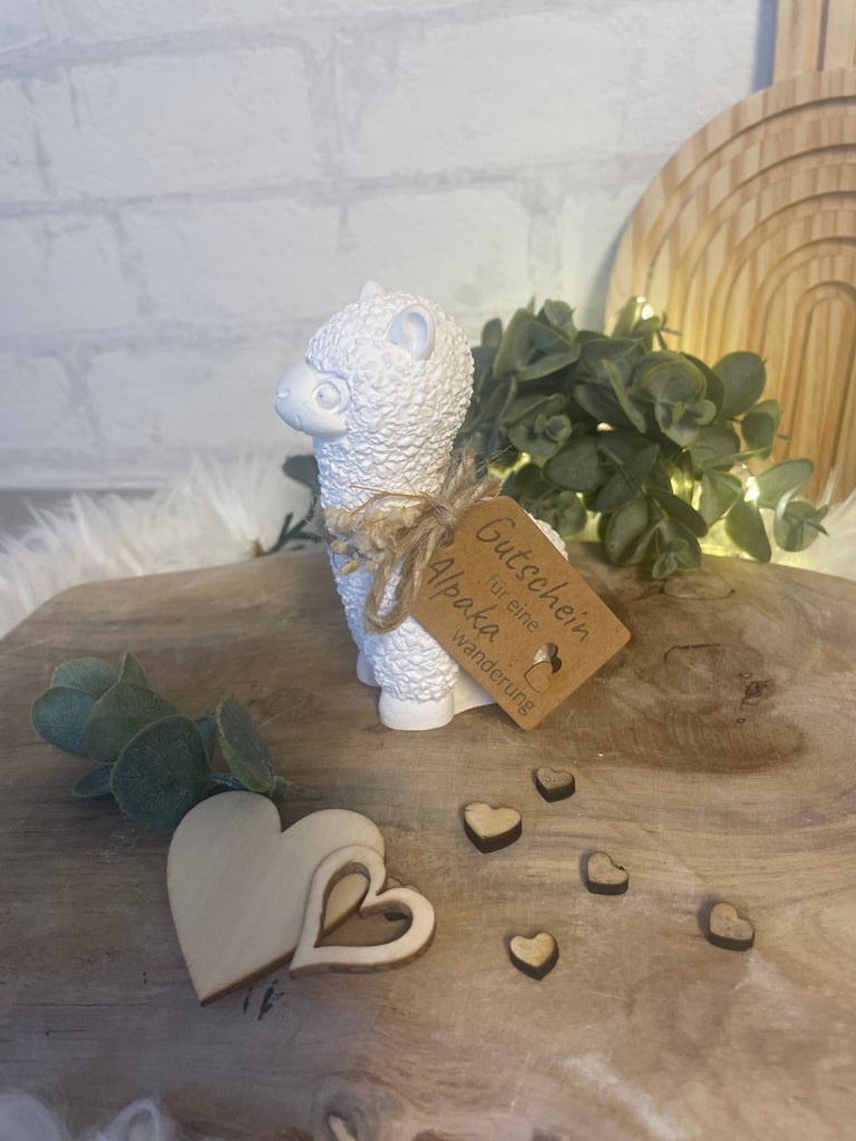 Lama Geschenkanhänger – Geschenk für Lama/ Alpakawanderung - KB Socken